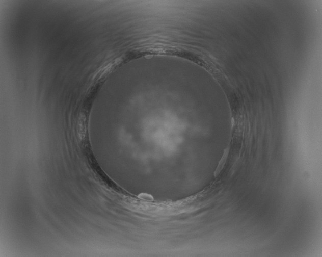 X0000056380043200509091727