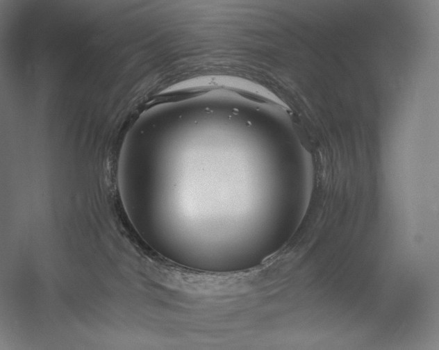 X0000056380044200509091727