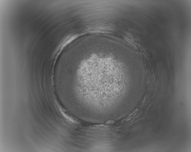 X0000056380050200509091726