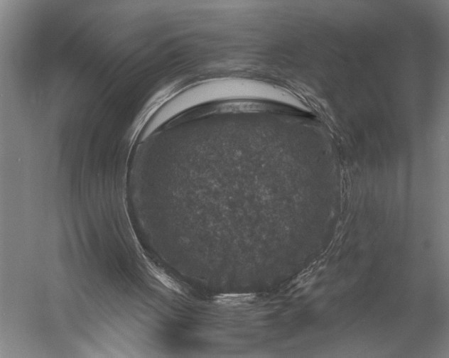 X0000056380051200509091726