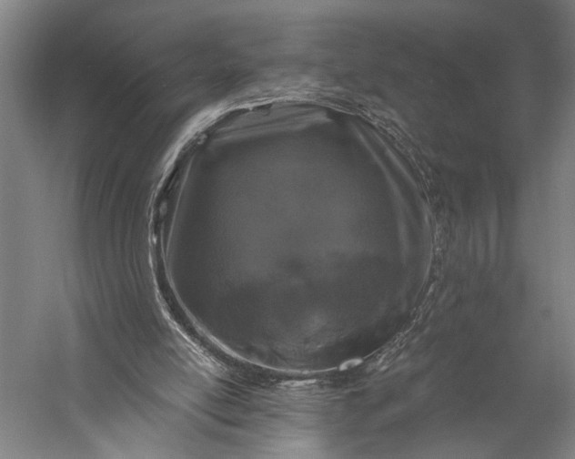 X0000056380054200509091726