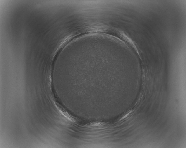 X0000056380059200509091726