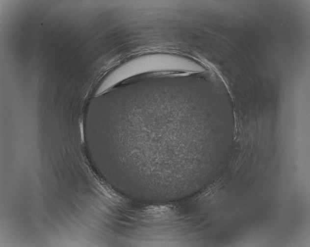 X0000056380061200509091726