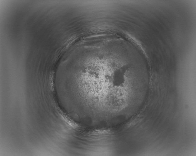 X0000056380065200509091726