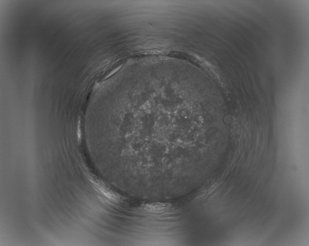 X0000056380069200509091726