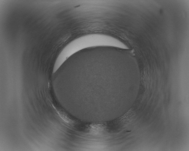 X0000056380070200509091726