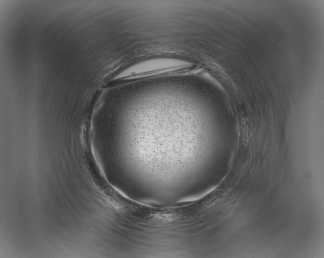 X0000056380071200509091726