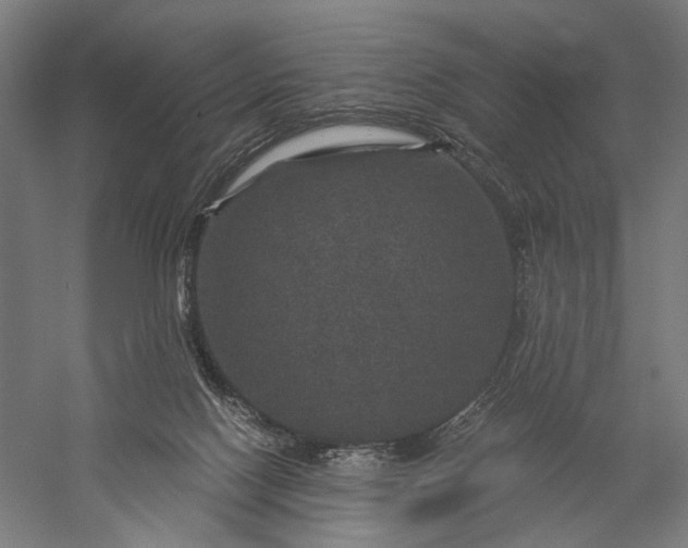 X0000056380074200509091726