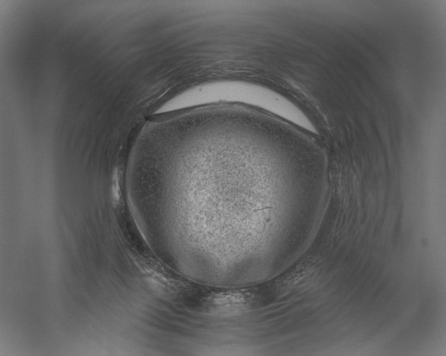 X0000056380075200509091726