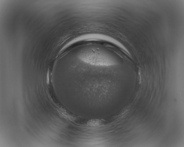 X0000056380076200509091726