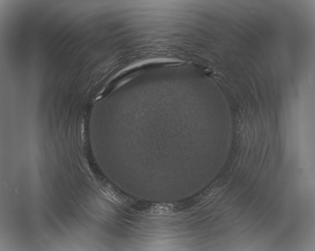 X0000056380080200509091726