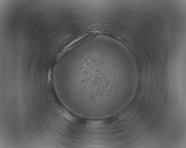 X0000056380081200509091726