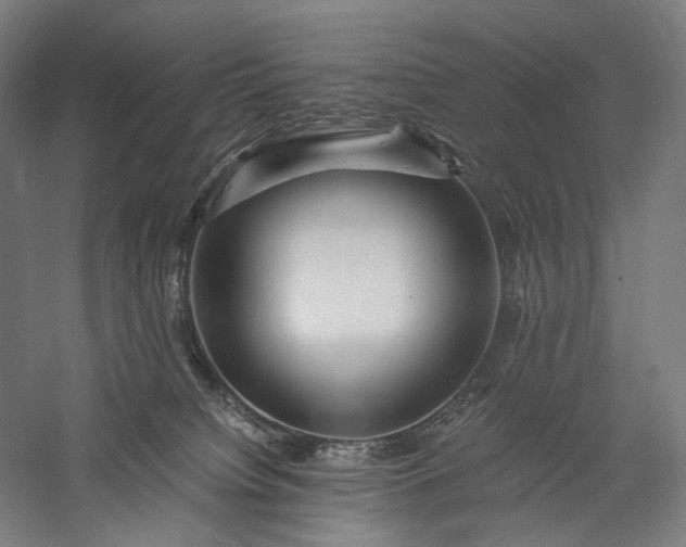 X0000056380084200509091726