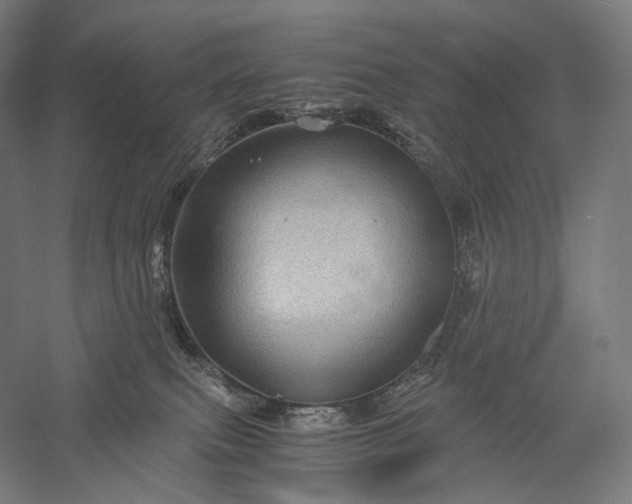 X0000056380087200509091726