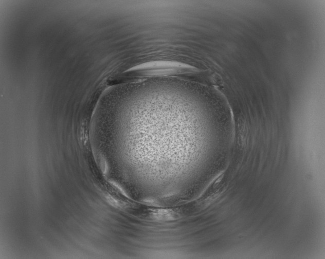 X0000056380091200509091726