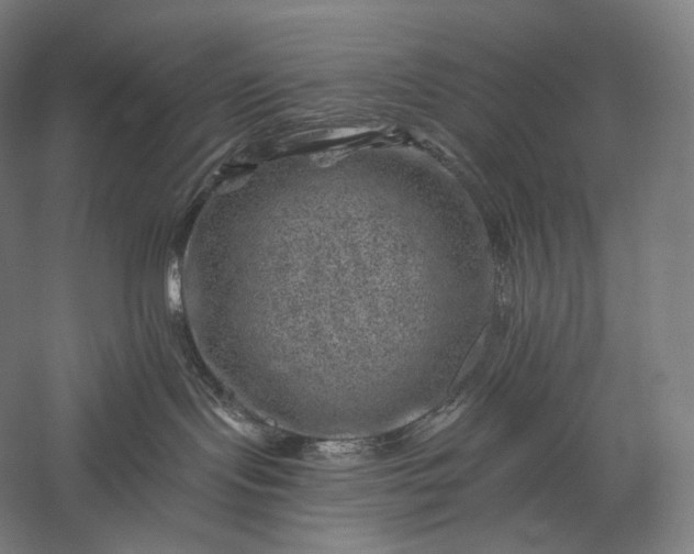 X0000056380095200509091726