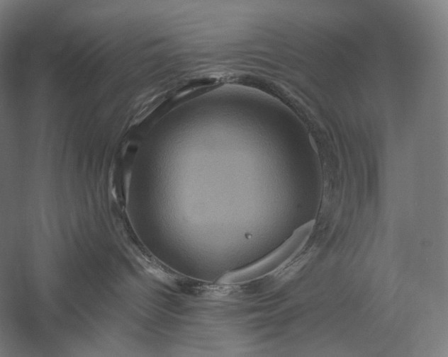 X0000056380096200509091726