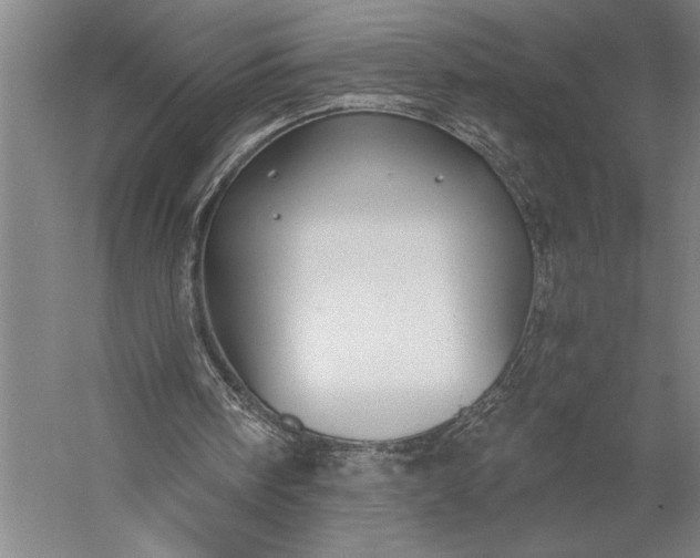 X0000056380098200509091726