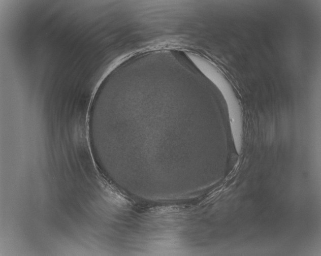 X0000056380100200509091726