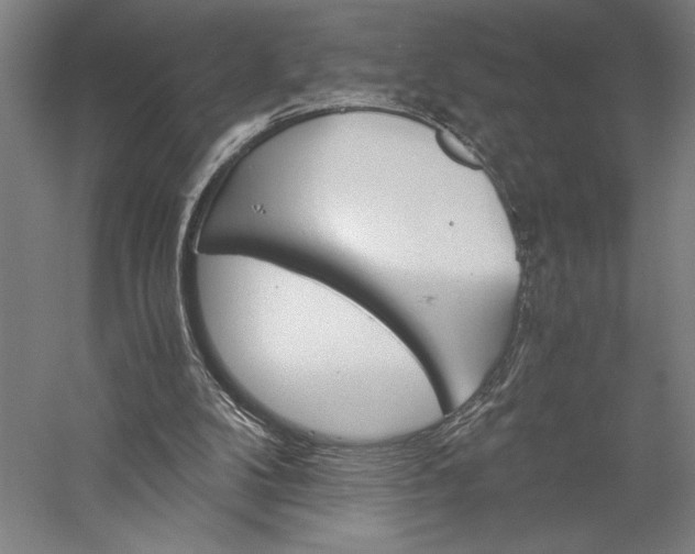 X0000056380104200509091725