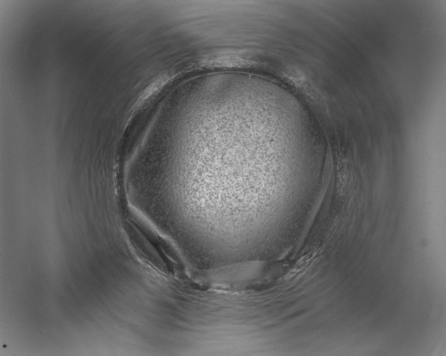 X0000056380111200509091725