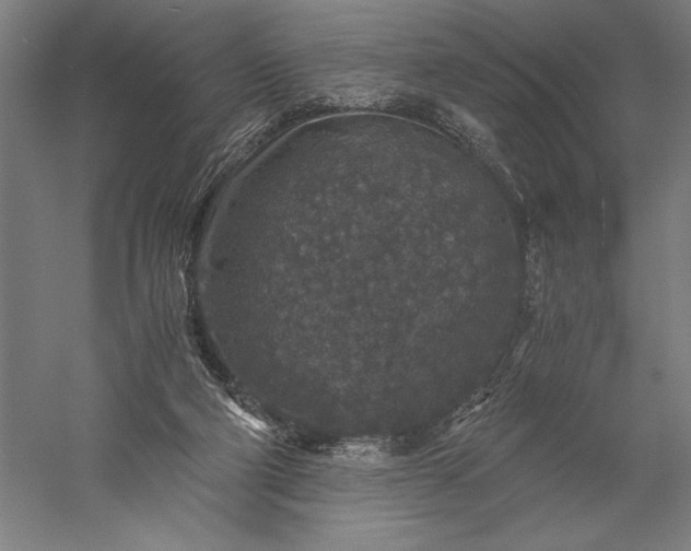 X0000056380114200509091725