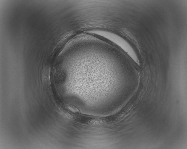 X0000056380115200509091725