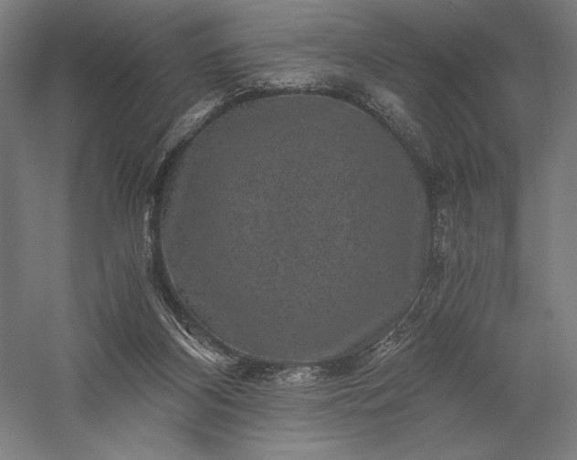 X0000056380116200509091725