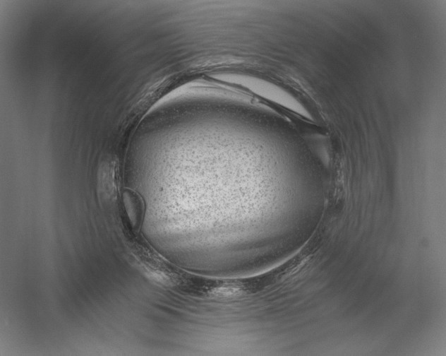 X0000056380119200509091725