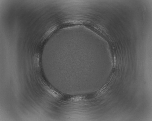 X0000056380120200509091725