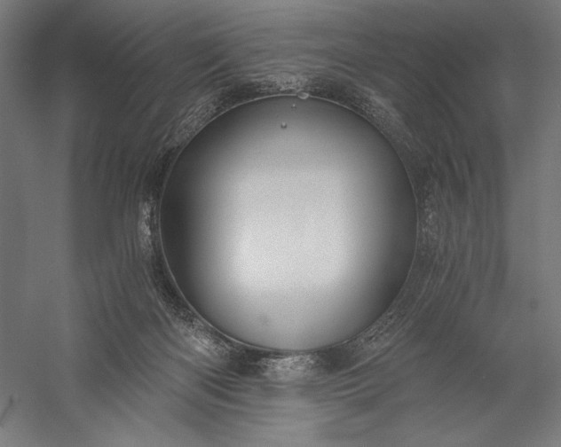 X0000056380122200509091725