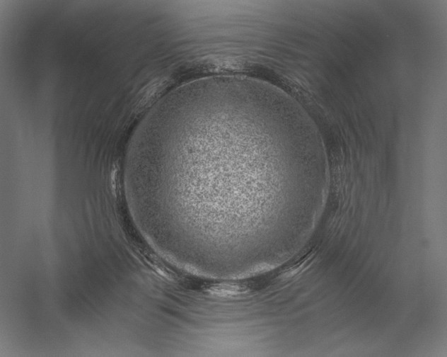 X0000056380123200509091725