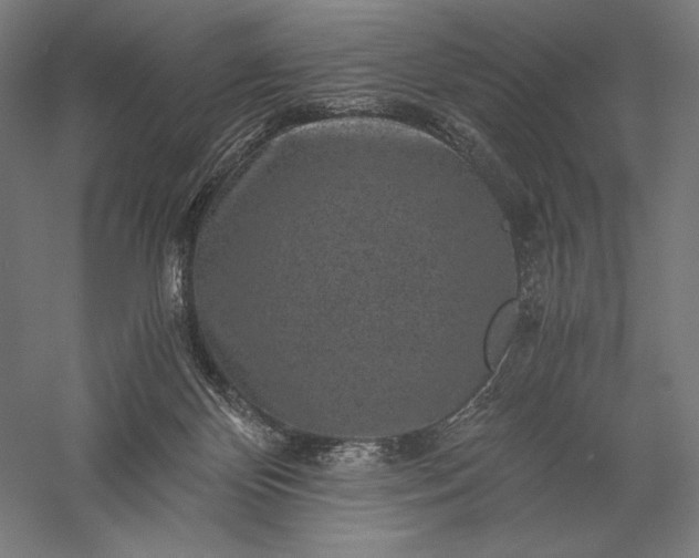 X0000056380124200509091725