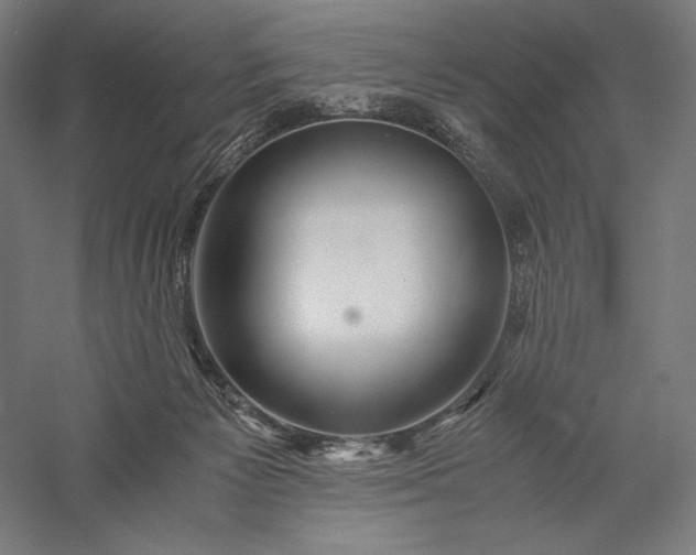 X0000056380125200509091725