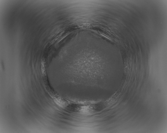 X0000056380130200509091725