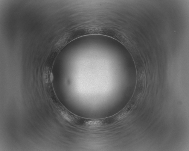 X0000056380133200509091725