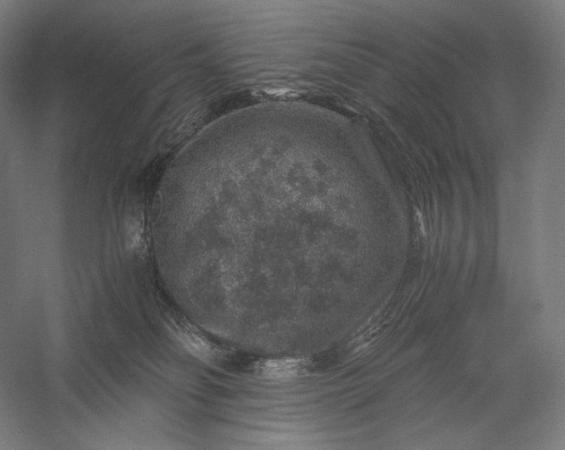 X0000056380134200509091725