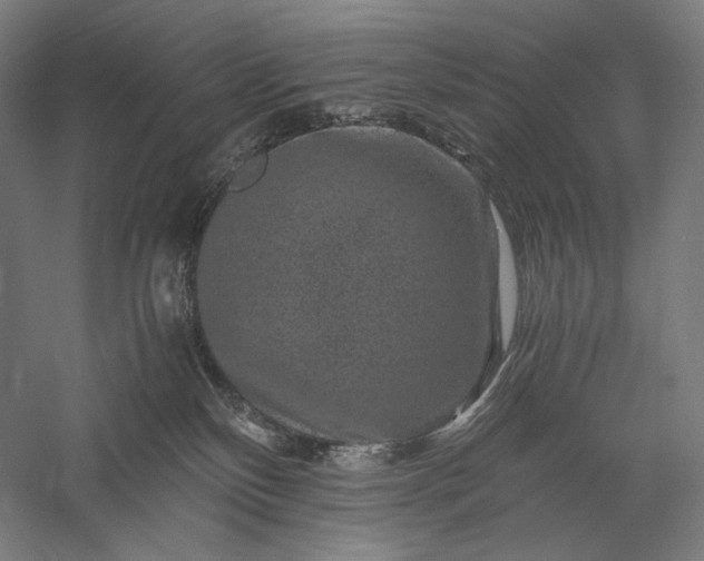 X0000056380136200509091725