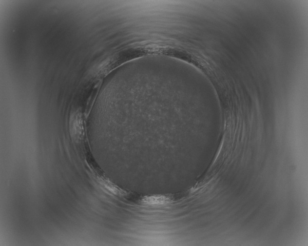 X0000056380137200509091725