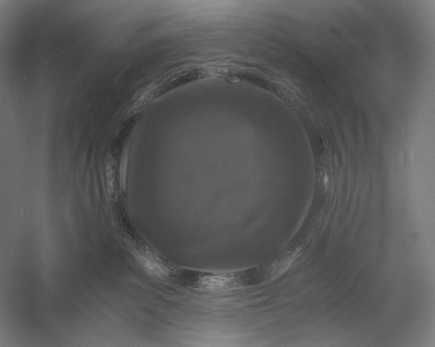 X0000056380139200509091725