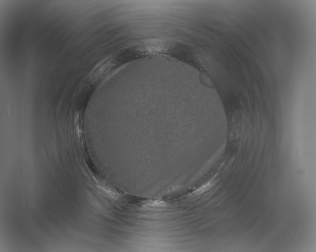 X0000056380140200509091725