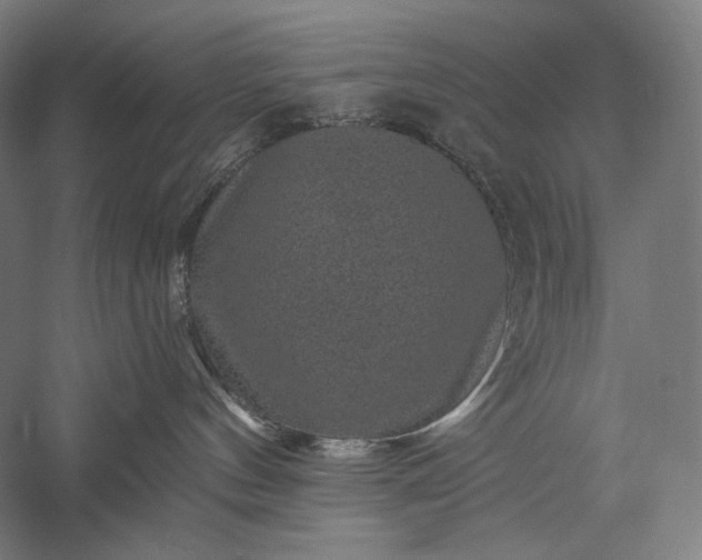 X0000056380144200509091725