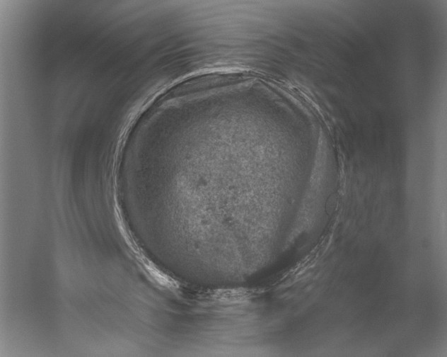 X0000056380145200509091724