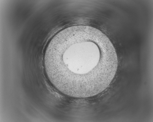 X0000056380146200509091724