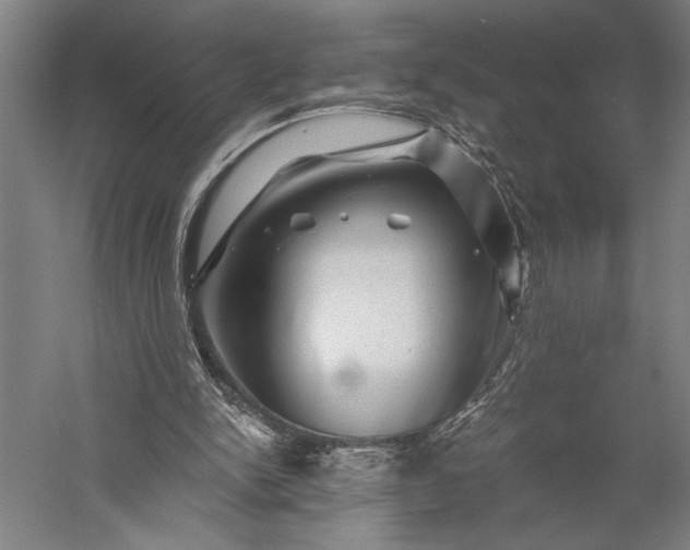 X0000056380150200509091724