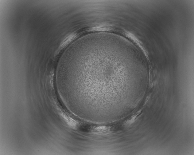 X0000056380153200509091724