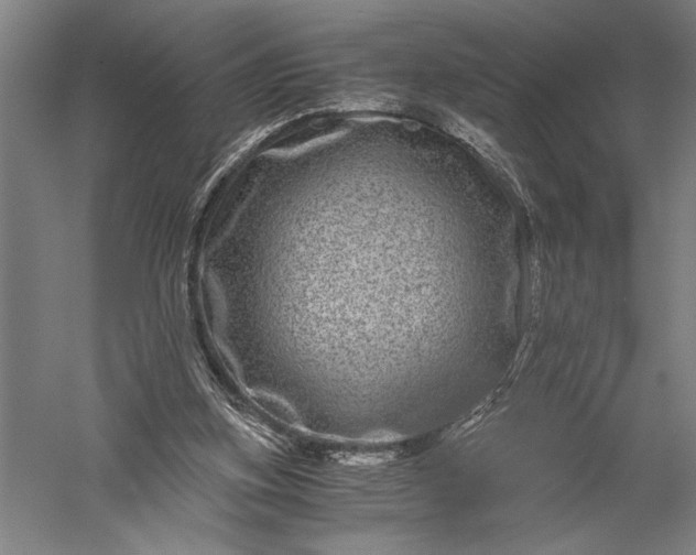 X0000056380155200509091724