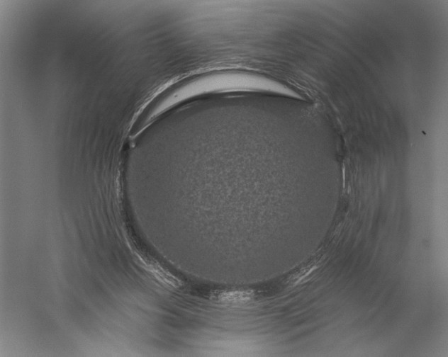 X0000056380156200509091724