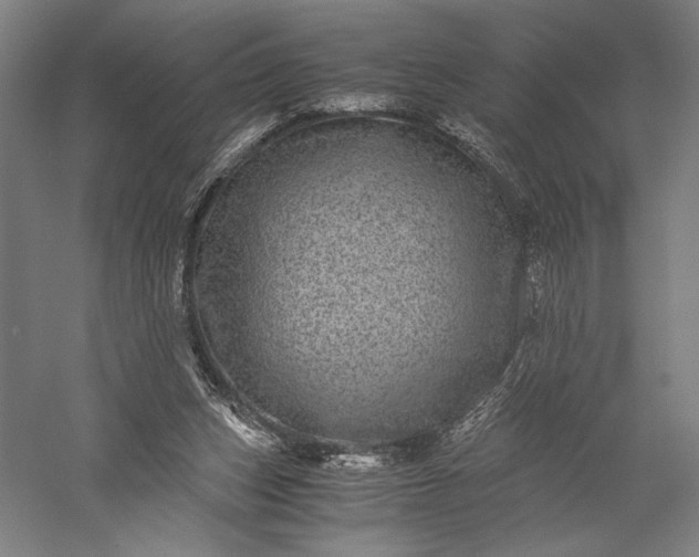 X0000056380159200509091724