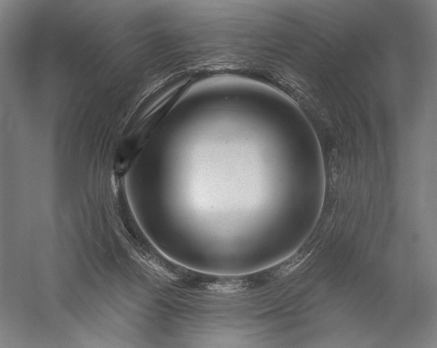 X0000056380164200509091724